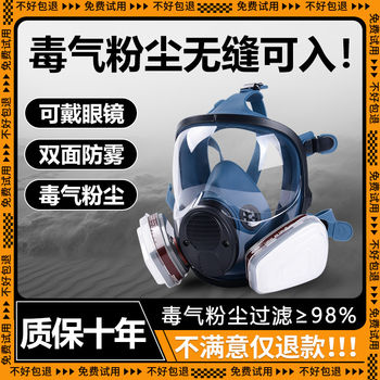 Gas Mask for Heavy Dust, Anti-Toxic, Industrial Dust, Spray Paint, Special Protection Against Hydrogen Sulfide, Advanced Ammonia Protection