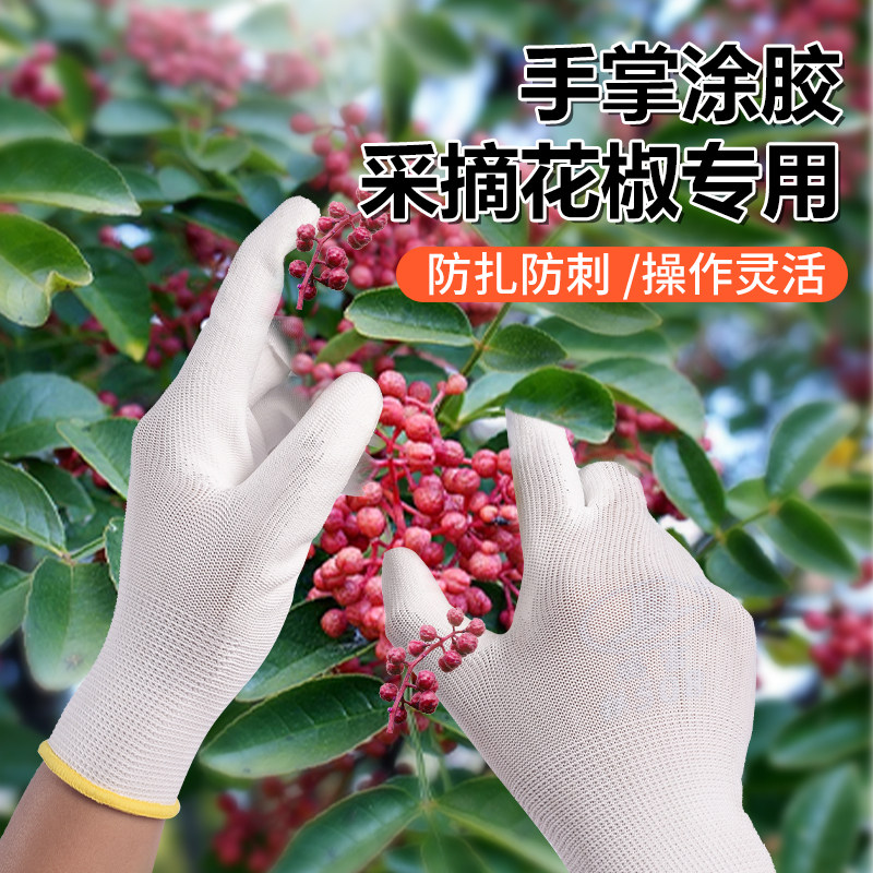 摘花椒专用手套采摘加厚防刺防扎神器摘辣椒摘菜耐磨园艺酸枣透气