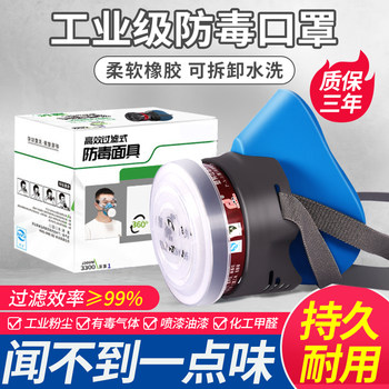 Anti-Toxic Gas Mask for Chemical Spray Painting, Specialized for Formaldehyde Irritation and Odor Protection, Protective Mask for Painters