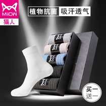 Cat man socks mens socks in summer thin breathable sports deodorant solid color cotton sweat absorption black basketball Korean version