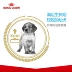 Royal Dog Food Chó cỡ trung bình Thức ăn cho chó con Phổ quát MEJ32 / 15kg Chó tha mồi vàng Husky Satsuma Koki Thức ăn cho chó lớn - Chó Staples