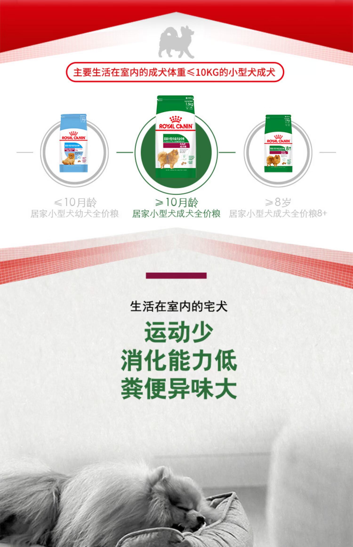 Thức ăn cho chó hoàng gia nhà chó trưởng thành chó nhỏ loại phổ quát PR21 / 1.5kg VIP hơn gấu Teddy lông xé - Chó Staples thức ăn cho thú cưng