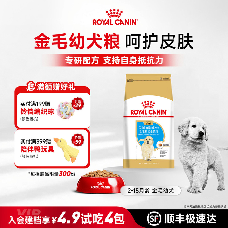 Royal Canin Golden Retriever Puppy Food 12kg Adult Dog Food for Medium and Large Breeds, Complete Nutrition for Labrador Royal Canin Golden Retriever Puppy Food 12kg Adult Dog Food for Medium and Large Breeds, Complete Nutrition for Labrador