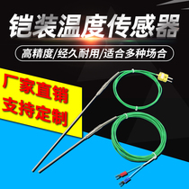 K-type imported sheathed thermocouple high-precision galvanic wire high temperature resistant probe type furnace temperature detection engine thermometry