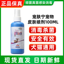 New Favorite Pampet Skin Pet Skin Spray 100ml Kitty Dog Feline Rubella Itching Disinfectant