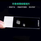 Citoglas shitai 10128105p-g / 80302-8101 Лист микроскопии патологического класса 25*75 50 Таблетки / коробка лазер Niger Special 1-1,2 мм