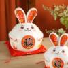 The Little Rabbit Piggy Bank Is Only for Deposits, Not Withdrawals, and Is Not Suitable for Children, Boys, or Girls with Good Looks. It Cannot Be Opened, and Is Made of Ceramic for Saving Money