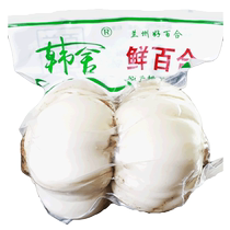 Freshly dug lilies Lanzhou fresh lilies fresh white lilies edible sweet lilies Gansu specialty non-special grade dried lilies