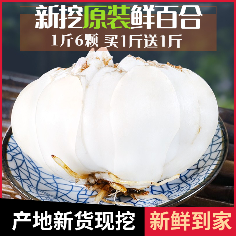 Gansu lily specialty fresh lily fresh edible sweet lily Lanzhou lily fresh lily non-superior dried lily