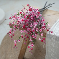 Полированный белый стебель сливы красный (6 шт. в упаковке)