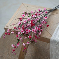 Полированный белый стебель сливы розово-красный (3 шт. в упаковке)