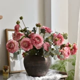 Иностранное пиони -симуляция цветочный цветок высокий клад