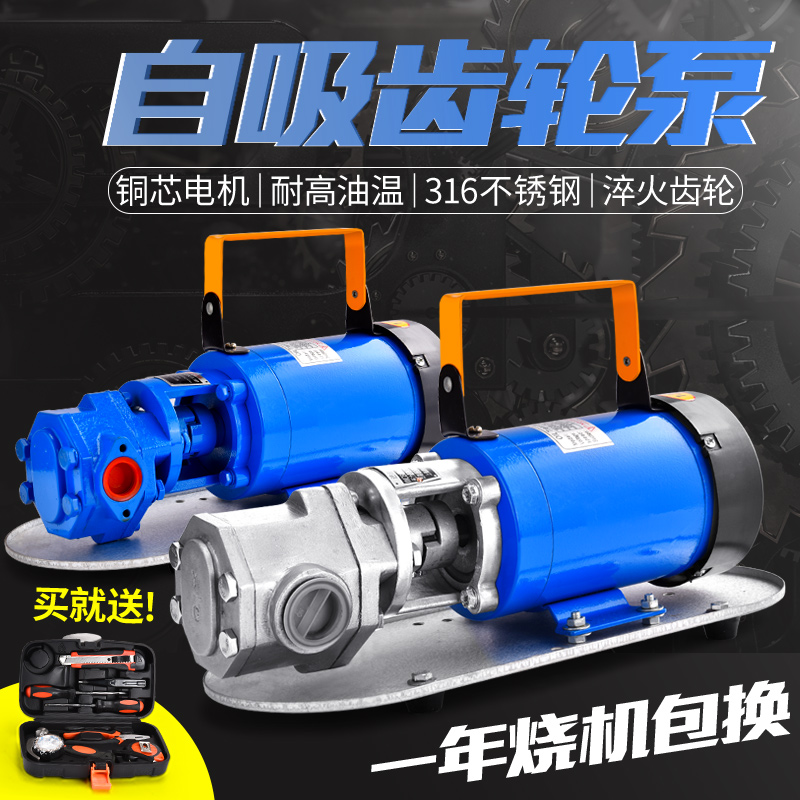 Easy Fengyan 12V24V electric oil pumping pump self-priming stainless steel gear pump high-stick consistency engine oil food oil pump