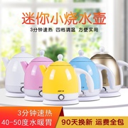 siêu nấu thuốc bắc bằng điện Nhà ấm công suất nhỏ ấm điện cách nhiệt một ấm đun nước cầm tay tự động tạo tác - ấm đun nước điện am sieu toc braun