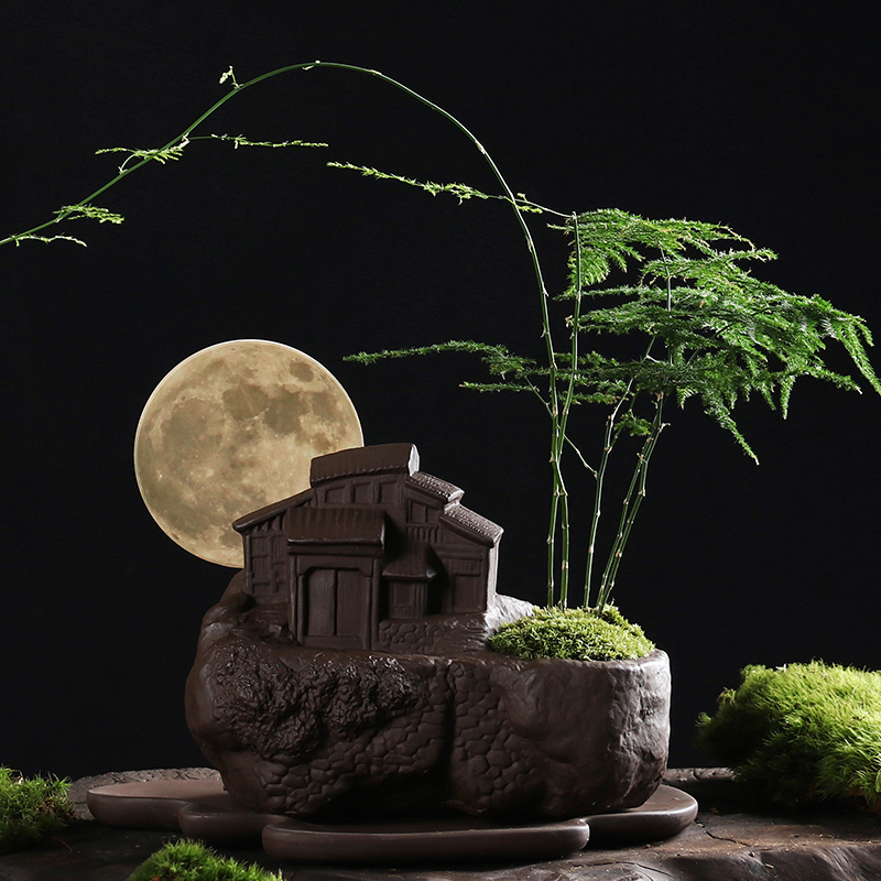 Archaize purple asparagus pot indoor creative moon mountain zen furnishing articles large green plant POTS yard with pallets