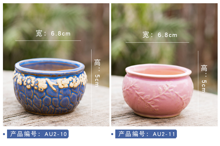 Fleshy thumb flowerpot European - style mini exquisite small creative manual lovely floral outraged meat meat control type ceramic flowers