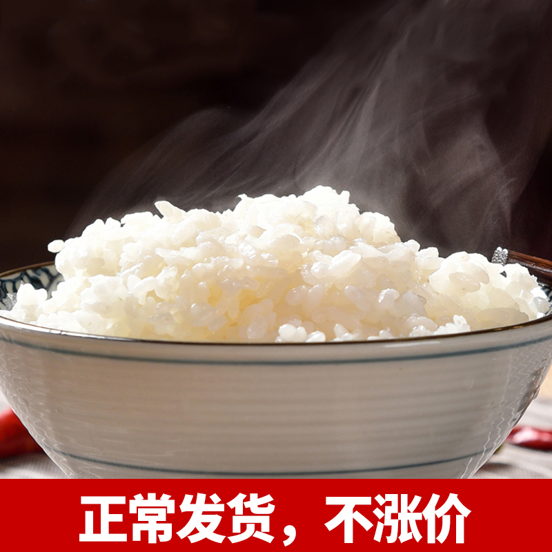 new mimaba oil stiy rice guangdong specialty farmhouse rice 5kg long grain fragrant rice 10 jin high quality new rice indica rice