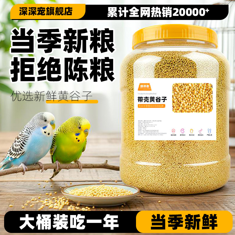 オウムの餌、鳥の餌、殻付きの新鮮な黄色いキビ、セキセイインコ、パールバードフード、小型鳥の餌