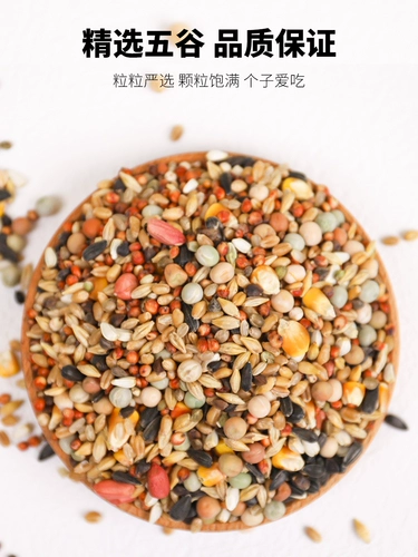 Глубокий голубь пищевой пищевой питание