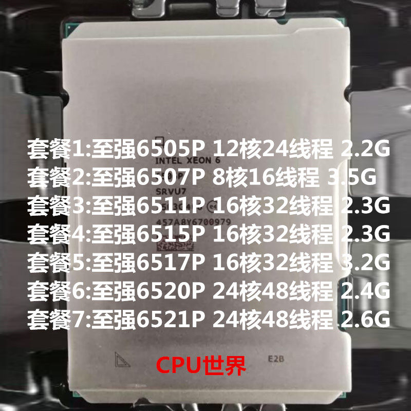 Intel/Intel Xeon 6505P 6507P 6511P 6515P 6517P 6520P 6521P