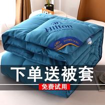 羽绒被95白鹅绒春秋被加厚被子被芯冬被棉被酒店用四季通用鹅绒被