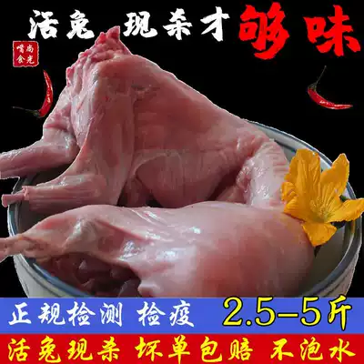 Rabbit meat Fresh rabbit meat whole 2 kg to 5 kg live rabbit freshly killed vacuum frozen fresh rabbit meat headless rabbit meat
