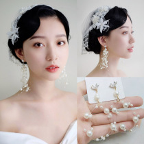 2020 starry earrings 925 silver anti-sensitive summer pearl earrings fashion high sense zircon ear clip earrings