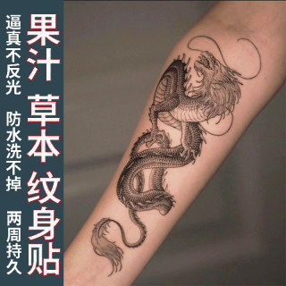 [One Set of Two] Herbal Tattoo Stickers, Traditional Dragon Arm Juice, Semi-Permanent, Non-Reflective, Waterproof, Long-Lasting, for Women and Men