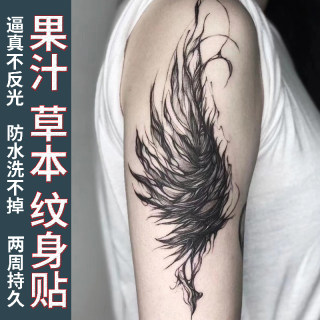 [One Set of Two]Herbal Tattoo Stickers Wings Arm Juice Style for Women and Men Semi-Permanent Non-Reflective Waterproof Long-Lasting