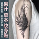 Herbal tattoo stickers wings arm juice for women and men semi-permanent non-reflective waterproof and long-lasting
