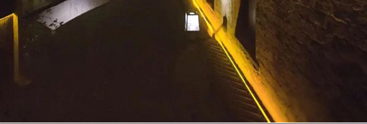LED şerit 220V açık alan mühendislik aydınlatması su geçirmez dış ortam ışık şeridi hayvan üretimi kule vinç şantiye bodrum 24V36V