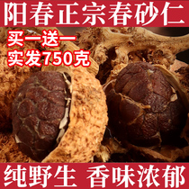 (Baking Law Baking) Zheng Zongchun Ren 500g Médicis Saucepan Soup Nourishing Stomach Warm Stomach Thé for Awakening the Spleen Traditional Chinese Medicine Yang Spring Sand