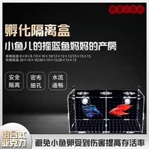 Isolation box fish tank transparent aquarium small fish fry incubator breeding box production box single and double multi-grid isolation net acrylic