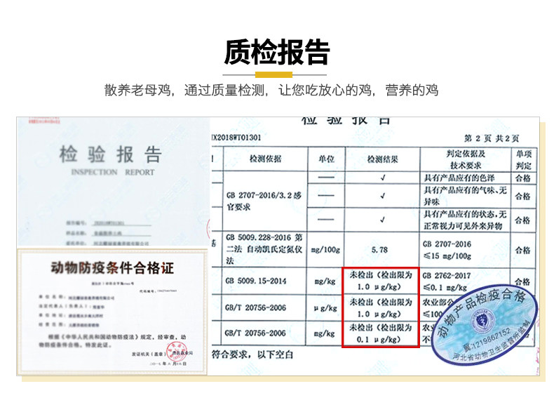 正宗农家散养老母鸡 2斤*2只 图5