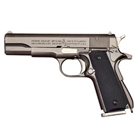 01_gray + 5 пуль