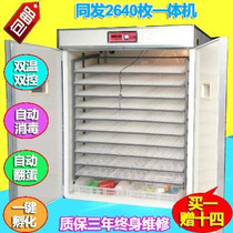 Brand 2640 native chicken quail incubator microcomputer fully automatic incubator quail goose egg duck egg medium-sized incubator