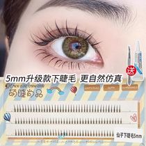 Stir-fry Natural Section Eyelash Mesh Red Fairy Fur Natural Emulation False Eyelash Self-Adhesive Graft Single Tuft Eyelash