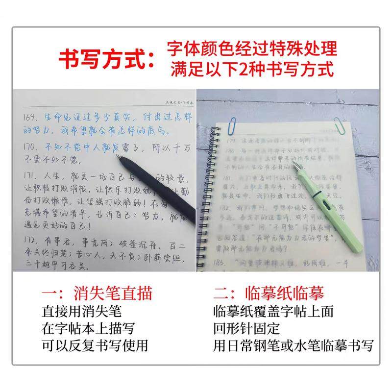 Selected Excerpts from People's Daily Newspaper, Calligraphy Practice Materials, Regular Script, Cursive Script, Rose, Female, Adult, Hard Pen Calligraphy Practice, Essay Writing, Regular Script, Tracing, Red Tracing, Calligraphy