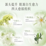 逐本 Белый чай с жасмином, омолаживающая увлажняющая успокаивающая маска для лица, восстанавливающая наклейка