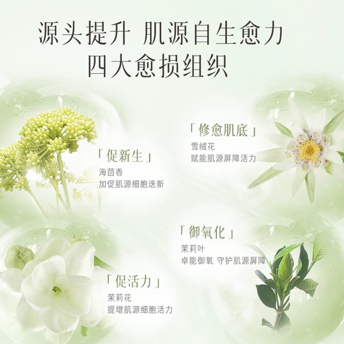 逐本 Белый чай с жасмином, омолаживающая увлажняющая успокаивающая маска для лица, восстанавливающая наклейка