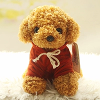 Коричневая+красная одежда 1