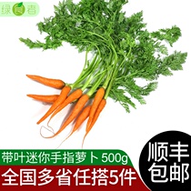 Green eater with leafed finger carrot 500g fresh vegetables mini fruit carrot salad ingredients