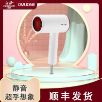 OMUONE omuni mute hair dryer negative ion hair care gale wind speed dry without frizz high power blower