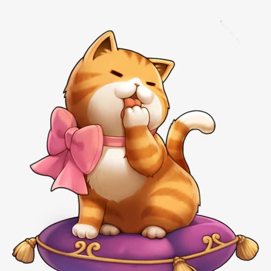 拉菲猫原创童装店