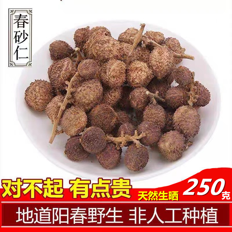 本物の陽春特産春アモムムビロサム250gドライフルーツ天然野生アモムムビロサム胃を養う広東アモムムビロサムスープ漢方薬