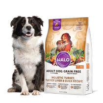 (travailleur autonome) Anneau de lumière naturelle halo importé dans le corps du corps de chien Incendie Poulet Taste Chien Aliments 6 35kg 14 lb