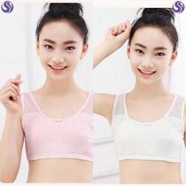 Urban sexy beauty girl Development cotton underwear Primary School students double-layer small vest girl bra