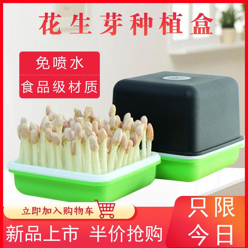 Water Bacon Box Groundless Cultivation Peanut Seedling Fresh Cultivation Basin Peanut Bud Growing Pan Hydroponic Seed Peanut Germinator-Taobao