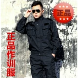 Осенняя куртка для тренировок подходит для мужчин и женщин, зимний комбинезон