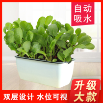 Lazy automatic absorbent vegetable pot long square flowerpot vegetable planting box family balcony flower trough multi-meaty flower